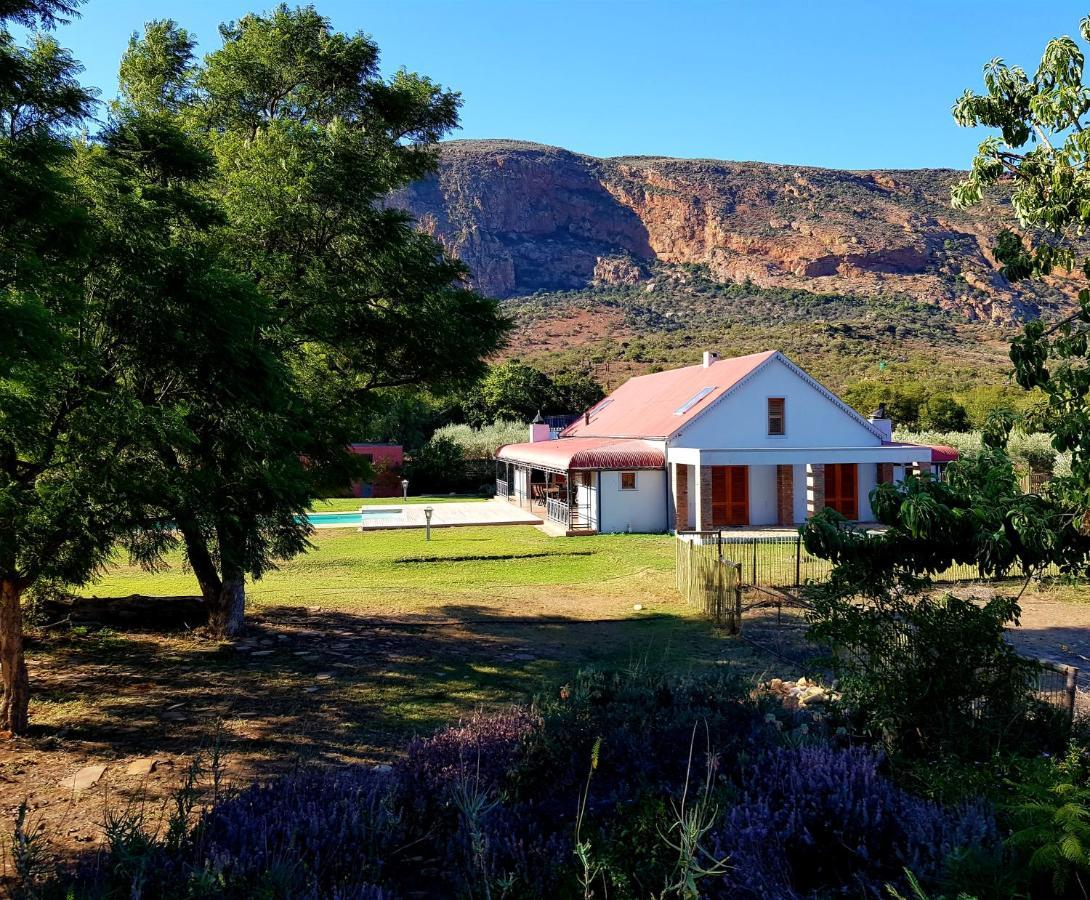 Baviaanskloof Landhuis Studtis Bagian luar foto