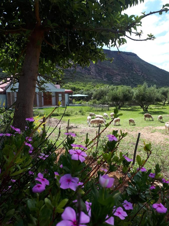 Baviaanskloof Landhuis Studtis Bagian luar foto